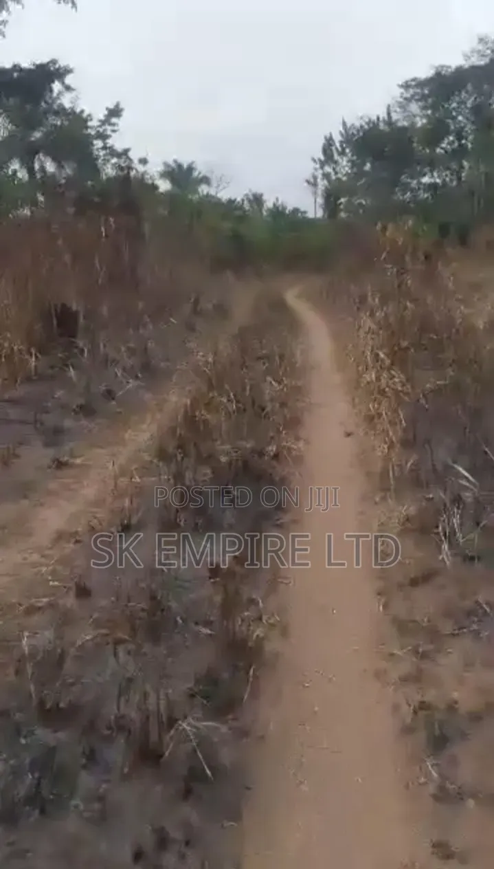 98 Plots of Land Fully Surveyed and Registered in Owerri