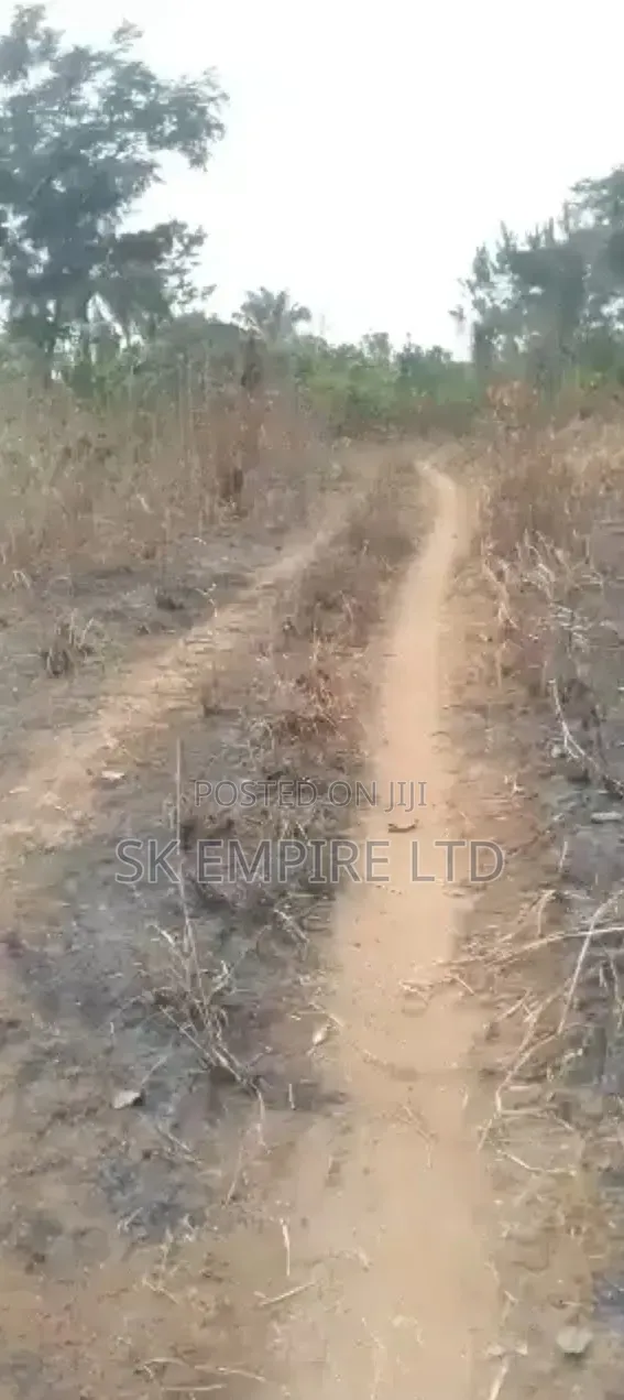 98 Plots of Land Fully Surveyed and Registered in Owerri