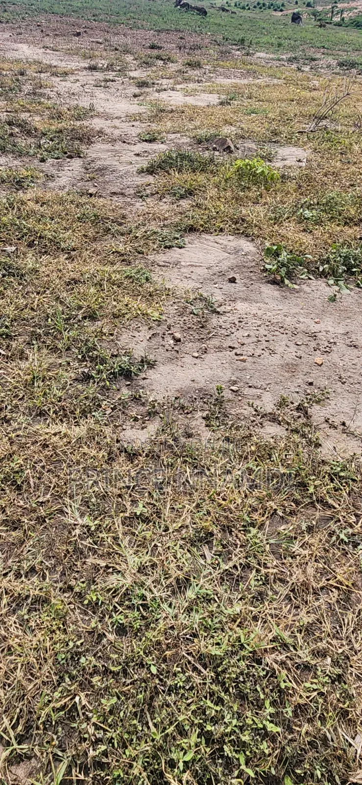 Prime Residential Land for Sale at Apo,Abuja in Wasa