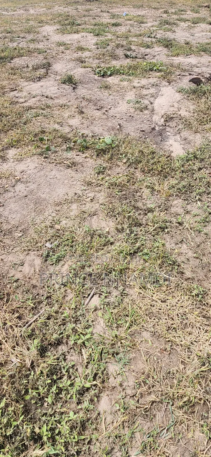 Prime Residential Land for Sale at Apo,Abuja in Wasa