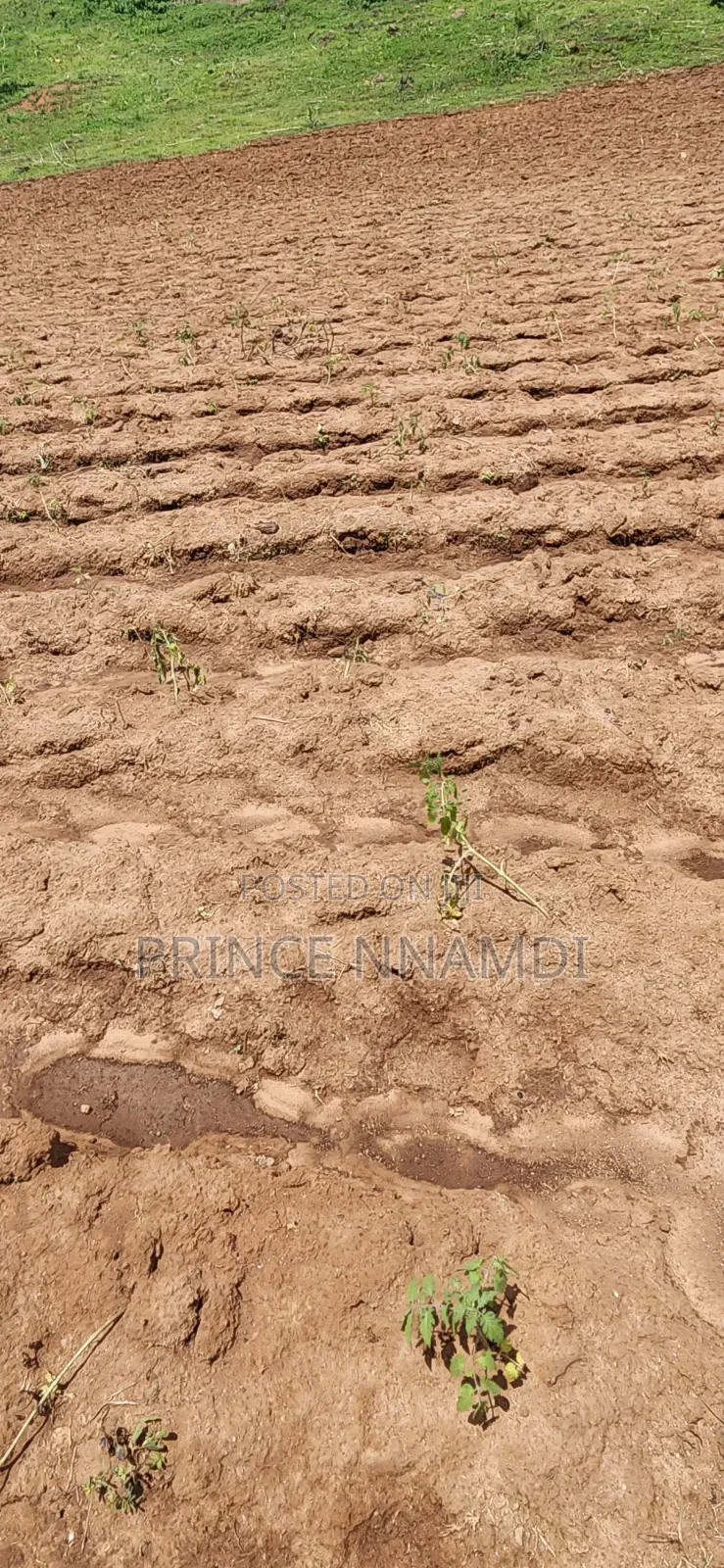 Spacious Residential Plot for Sale in Apo in Wasa