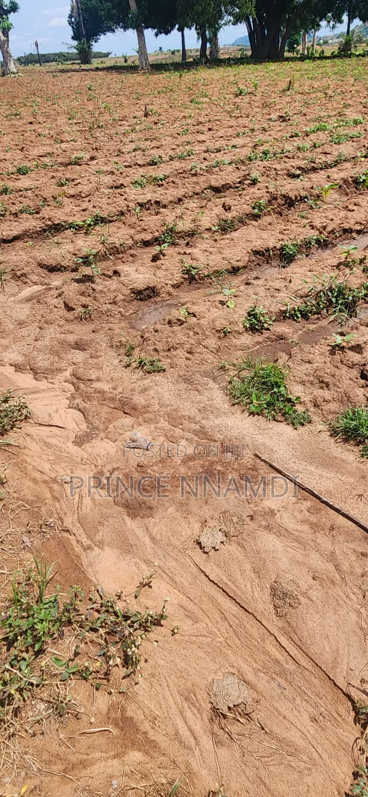 Spacious Residential Plot for Sale in Apo in Wasa
