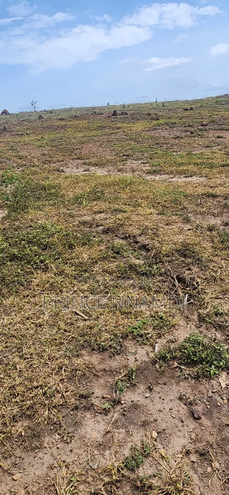 Spacious Residential Plot for Sale in Apo in Wasa
