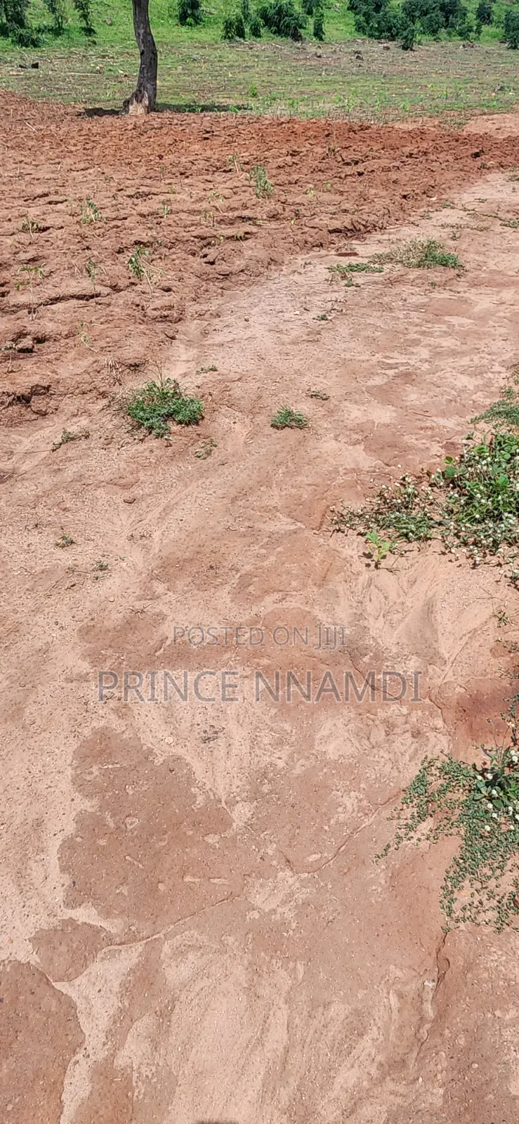 Prime Land for Sale in Apo District in Wasa