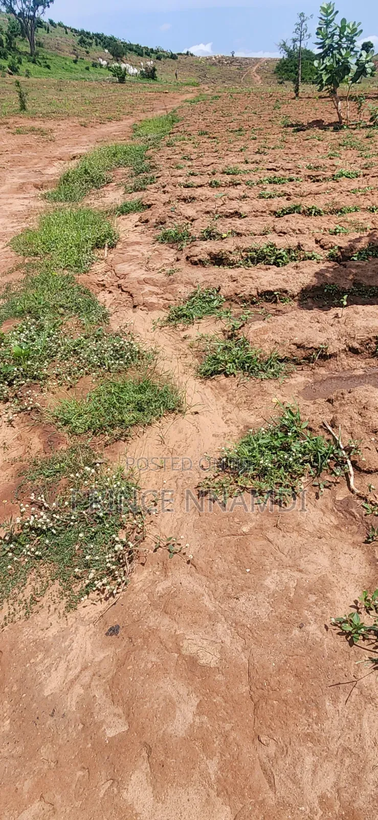 Prime Land for Sale in Apo District in Wasa