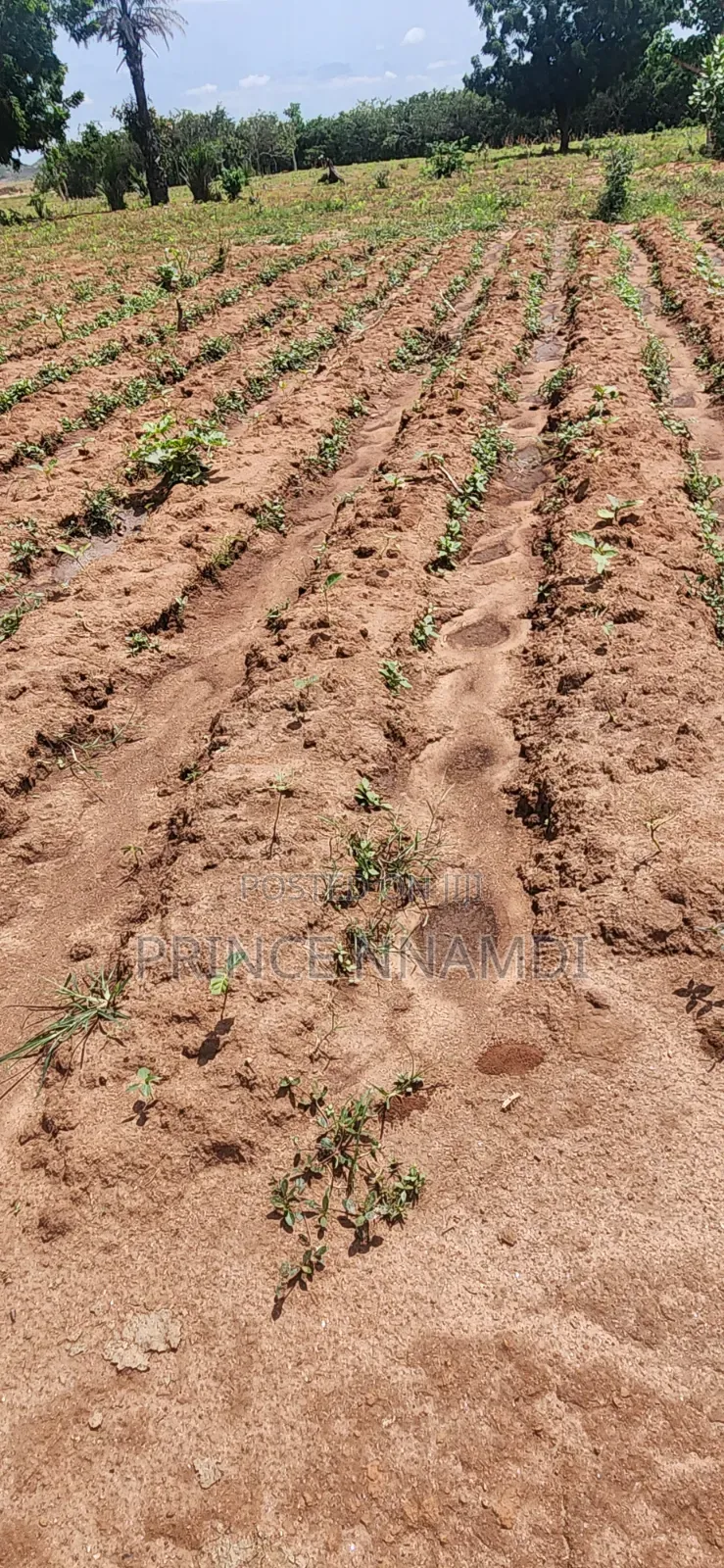 Prime Land for Sale in Apo District in Wasa