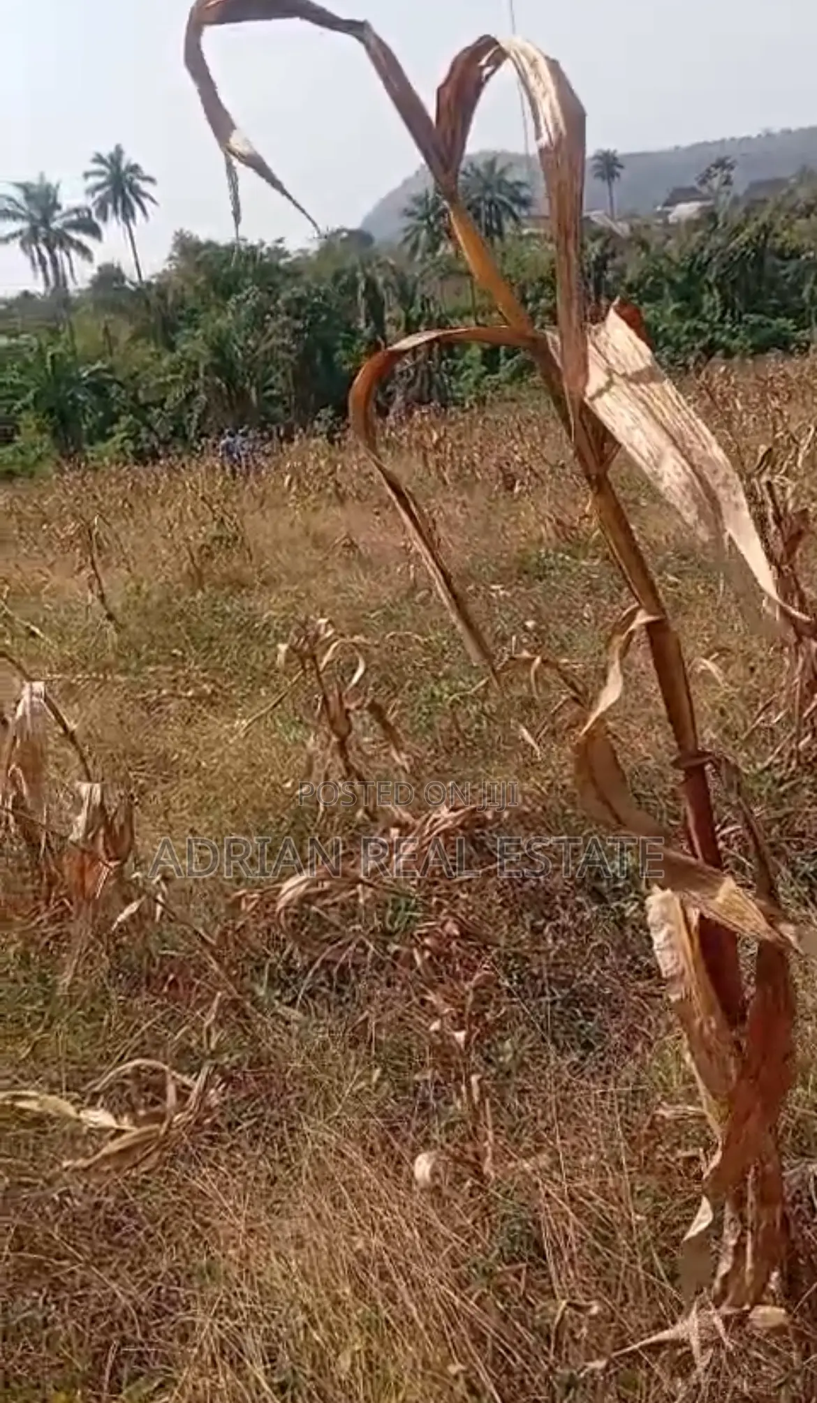 A Plot of Land in a Serene Environment in Ilesa