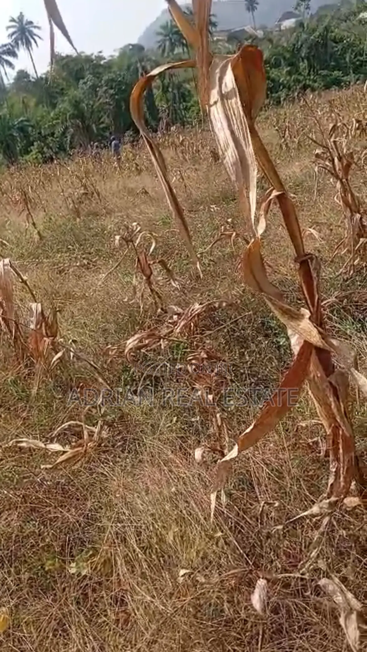 A Plot of Land in a Serene Environment in Ilesa