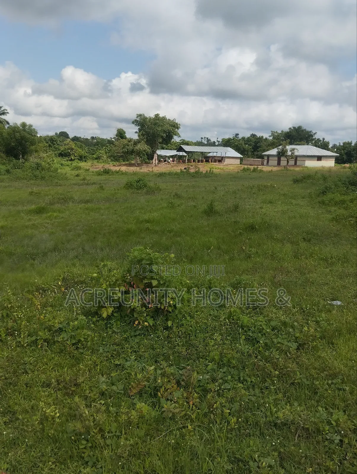 400 Acres of Agricultural Farmland for Sale, Adekola Village, Adoawaye in Iseyin