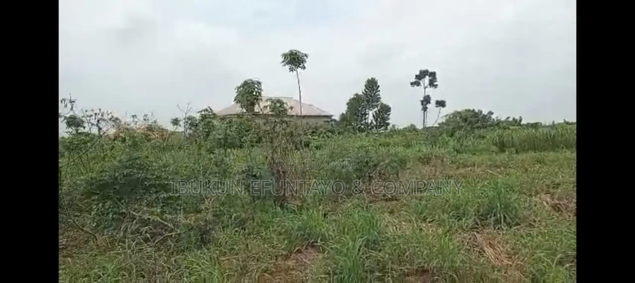 Land for Sale Directly on Shimawa Road in Shimawa