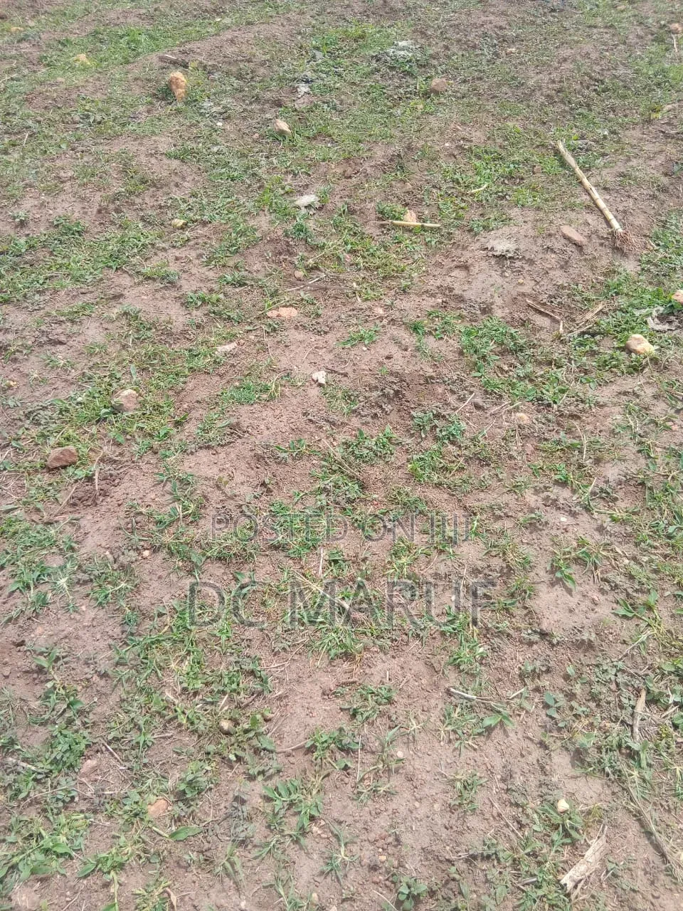 Plots of Land Lokogoma in Lokogoma