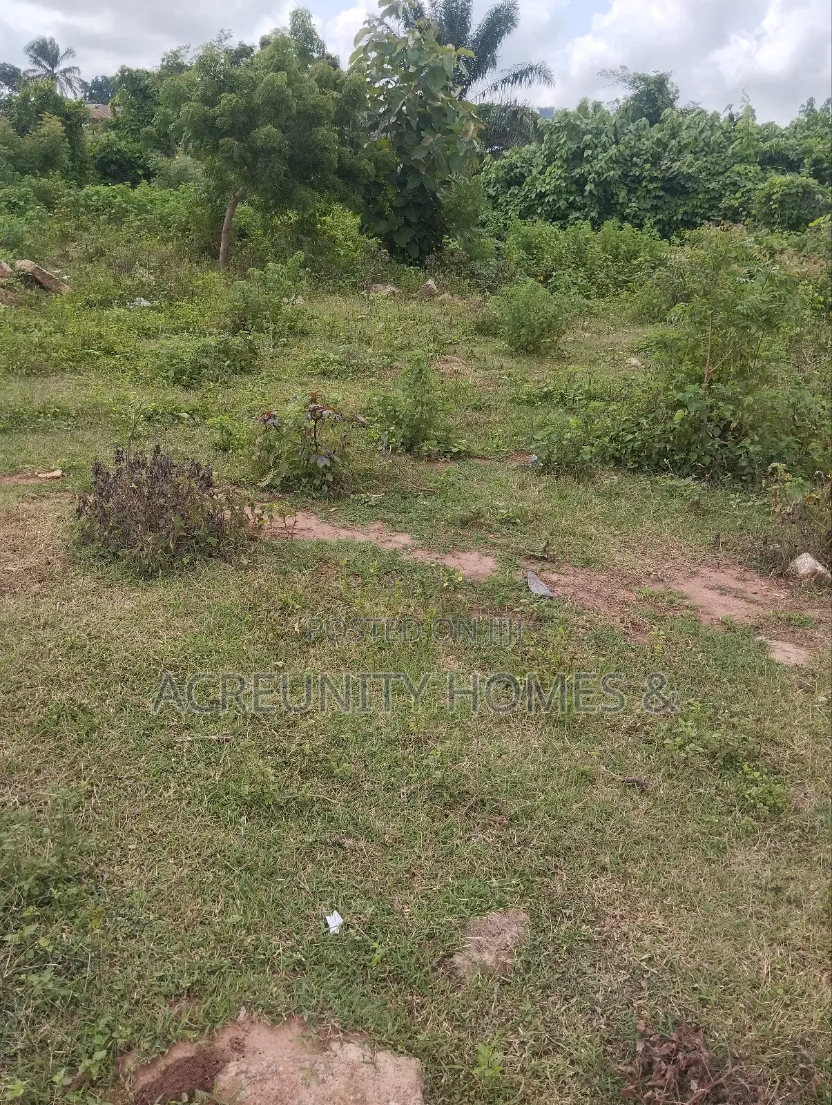 4000acres of Fertile Farmland for Sale at Komu, Itesiwaju Lg Oyo State in Itesiwaju