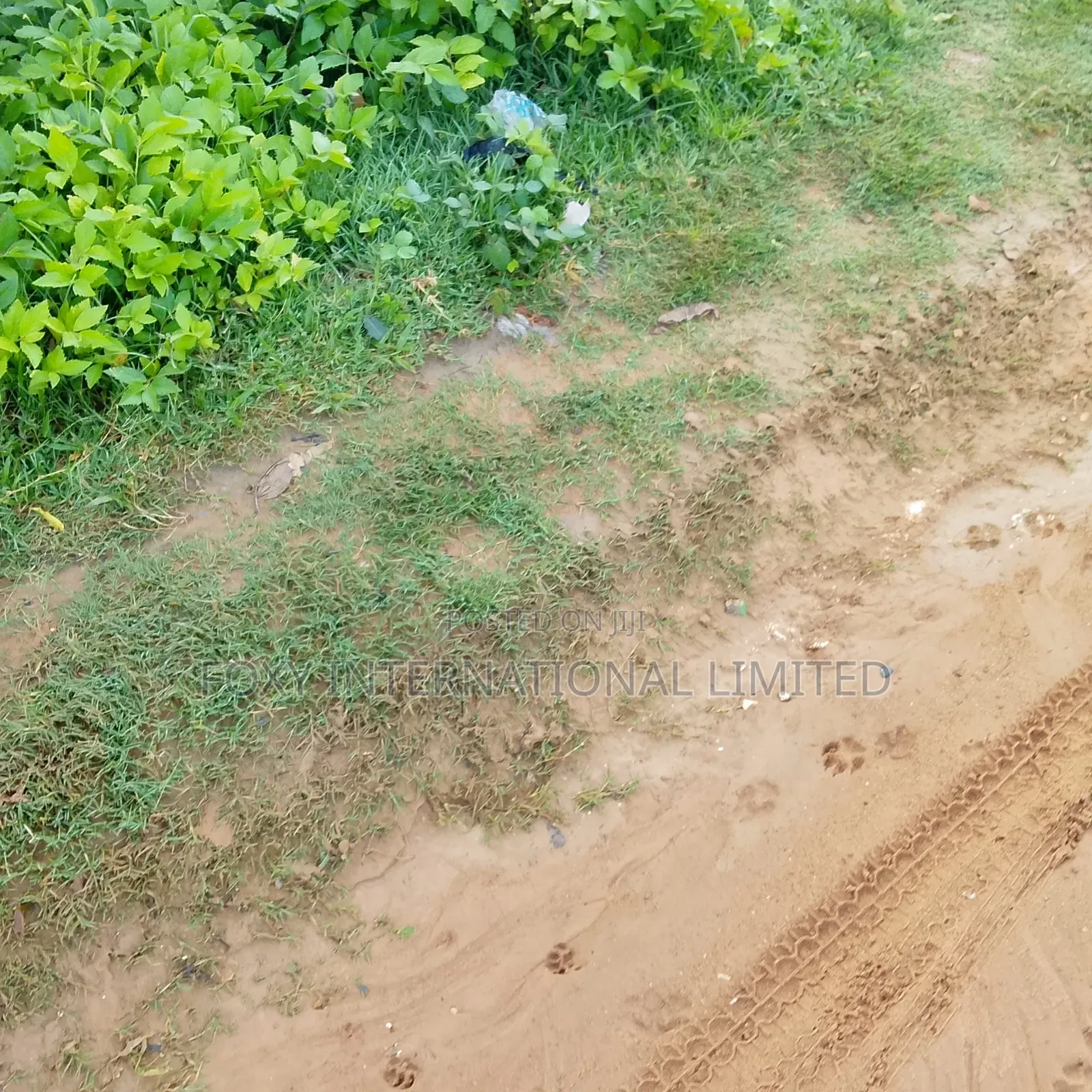 65 Hectares Land at Wasa in Wasa