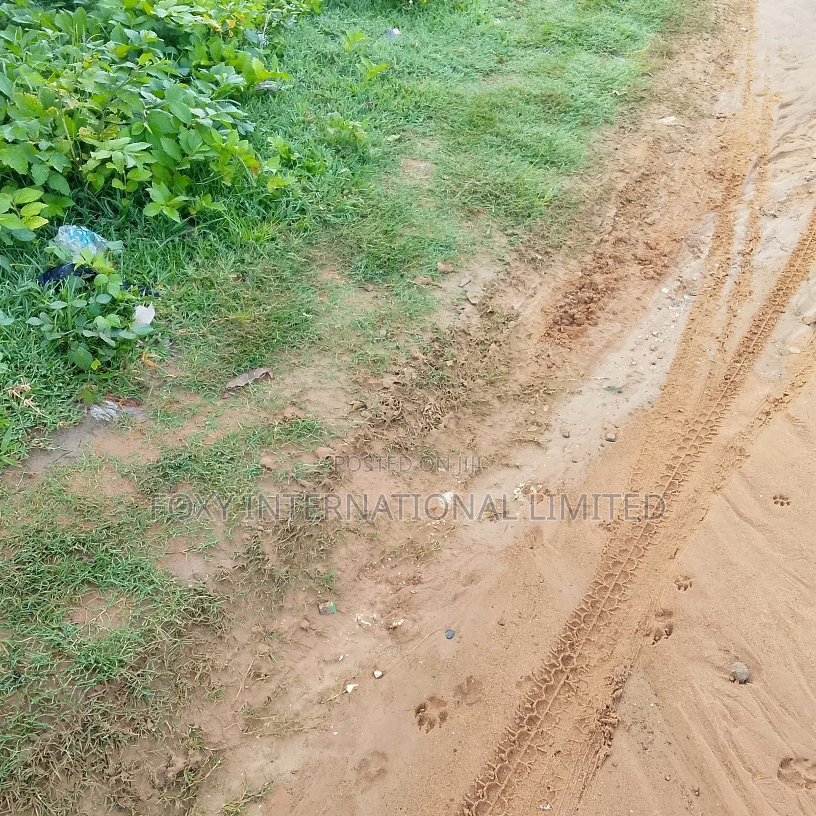 65 Hectares Land at Wasa in Wasa