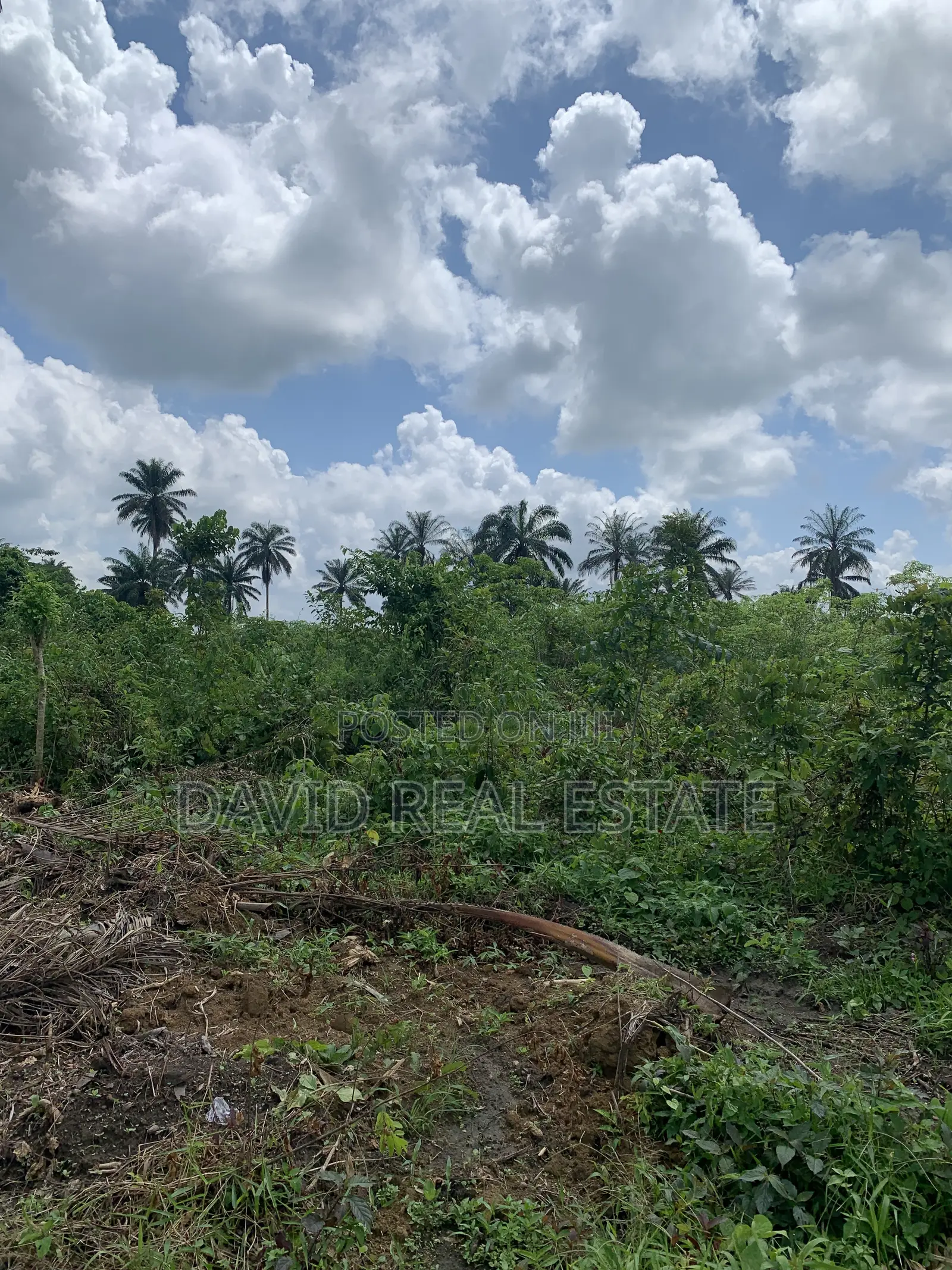 Land for Sale – Omagwa, Port Harcourt in Omagwa