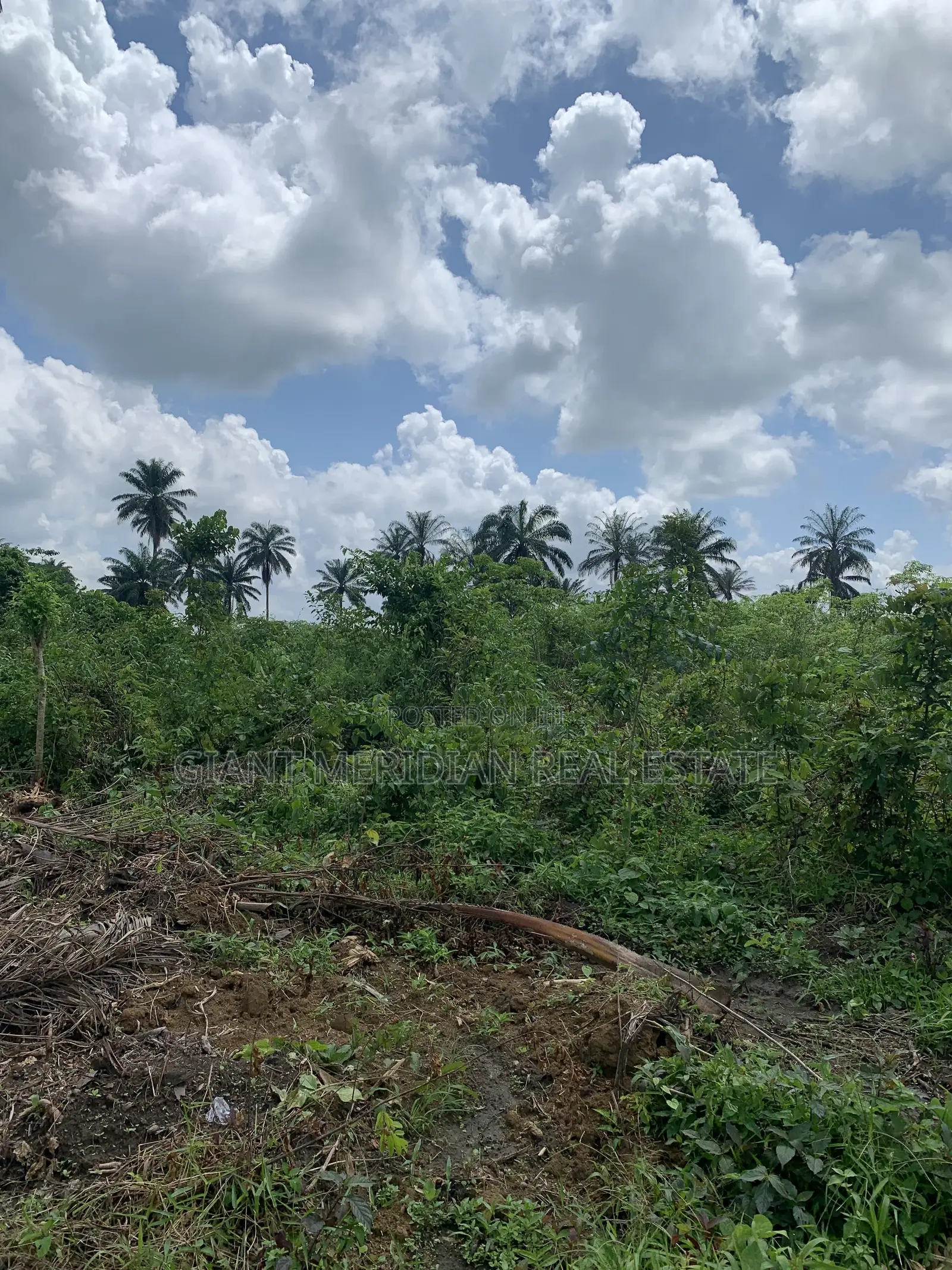 Land for Sale – Omagwa, Port Harcourt in Omagwa