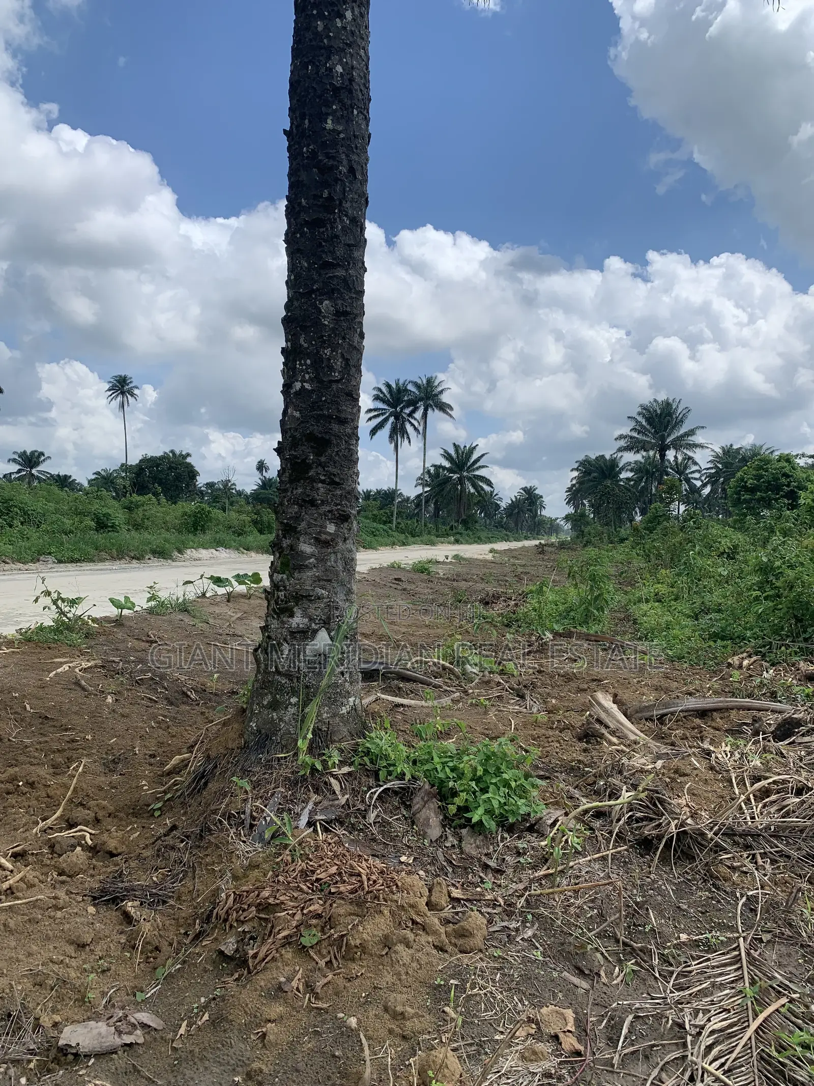 Land for Sale – Omagwa, Port Harcourt in Omagwa