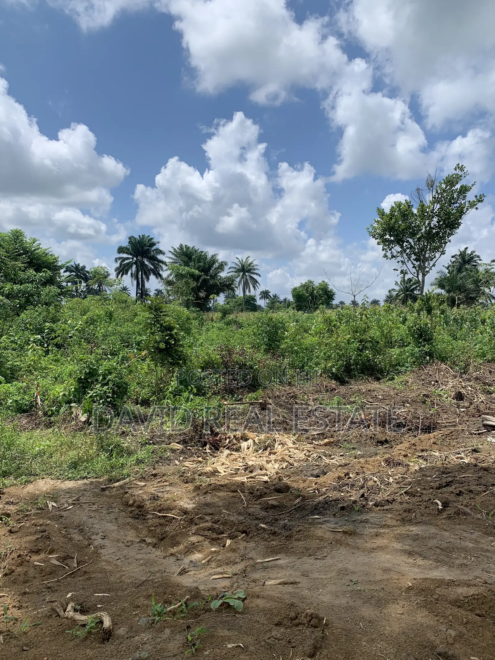 Land for Sale – Omagwa, Port Harcourt in Omagwa