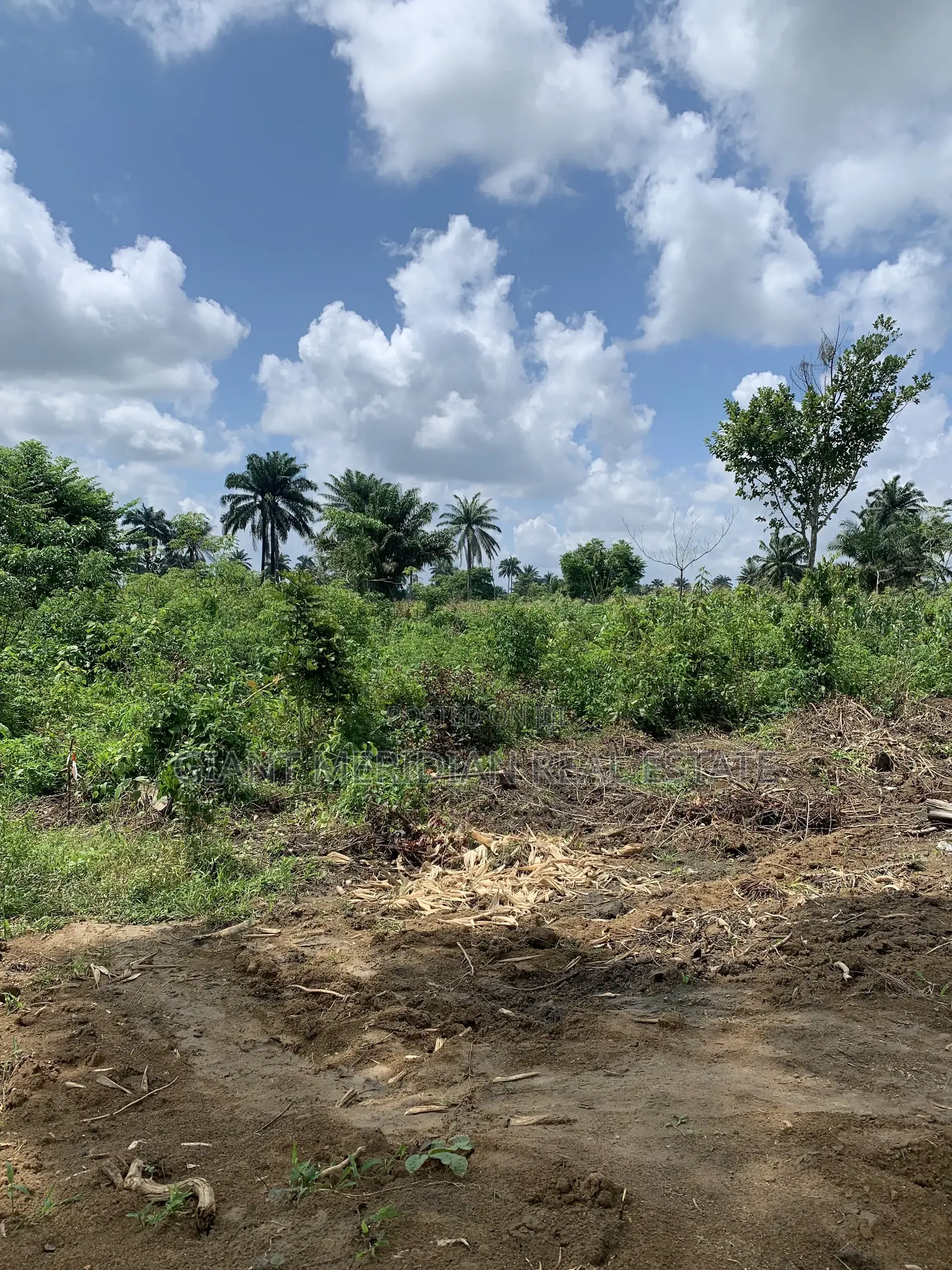 Land for Sale – Omagwa, Port Harcourt in Omagwa