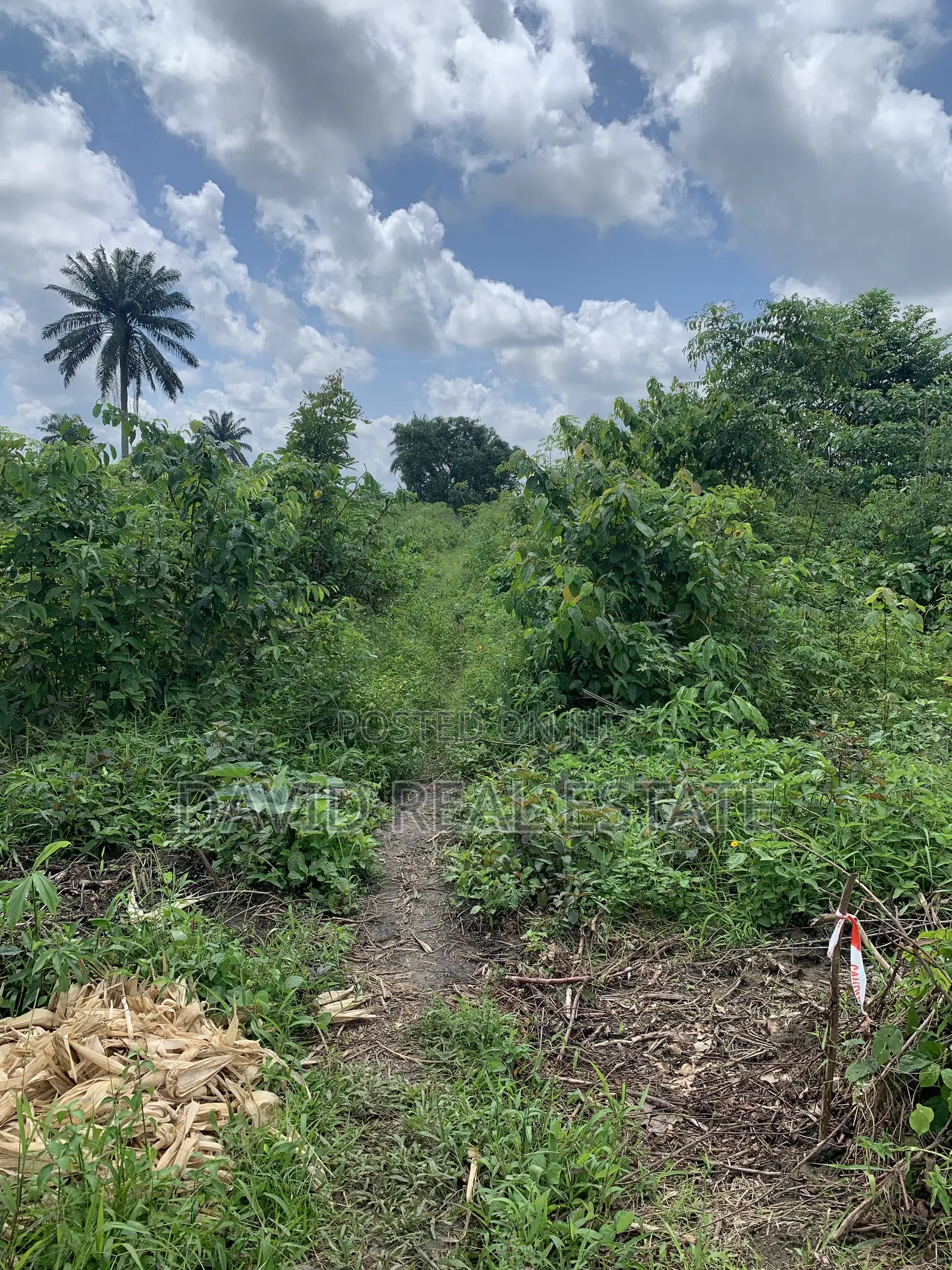 Land for Sale – Omagwa, Port Harcourt in Omagwa