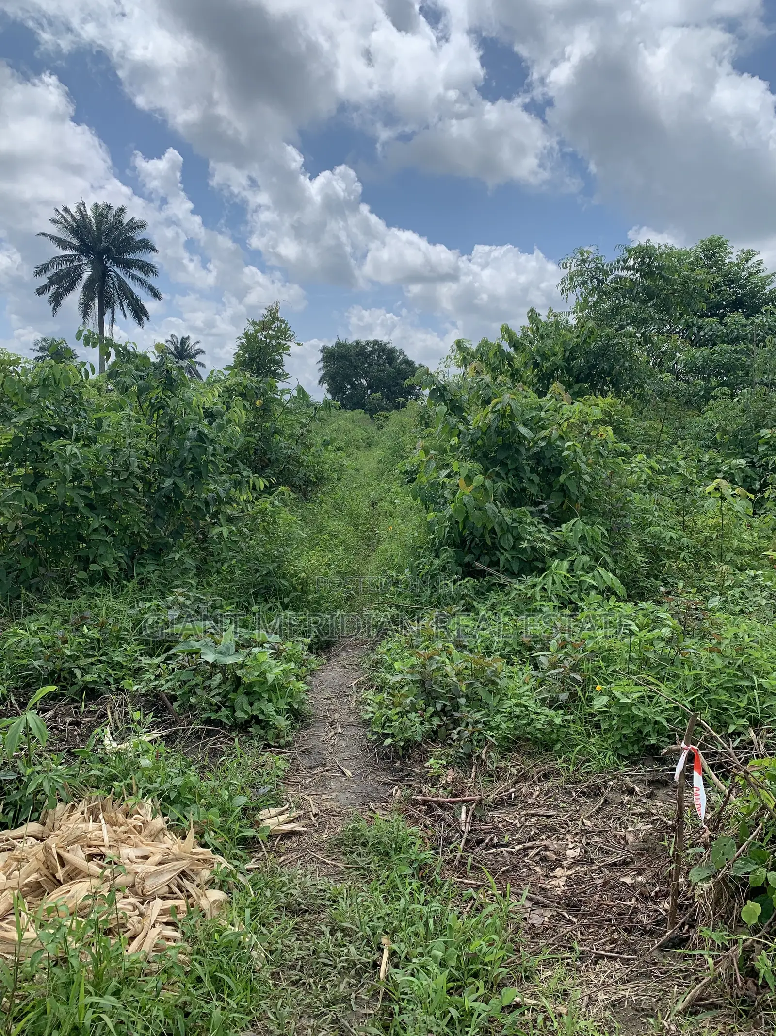 Land for Sale – Omagwa, Port Harcourt in Omagwa