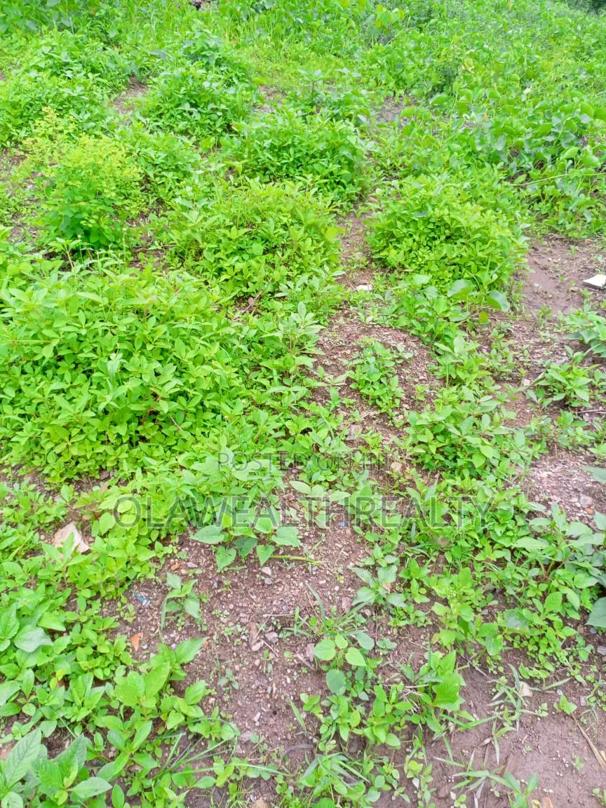 7,000sqm Residential Land at Jabi Dakibiyu in Jabi