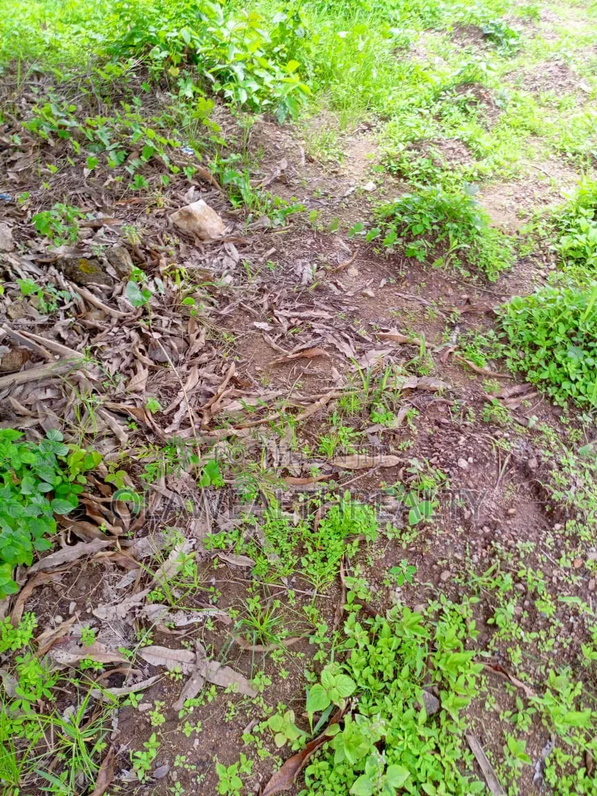 7,000sqm Residential Land at Jabi Dakibiyu in Jabi