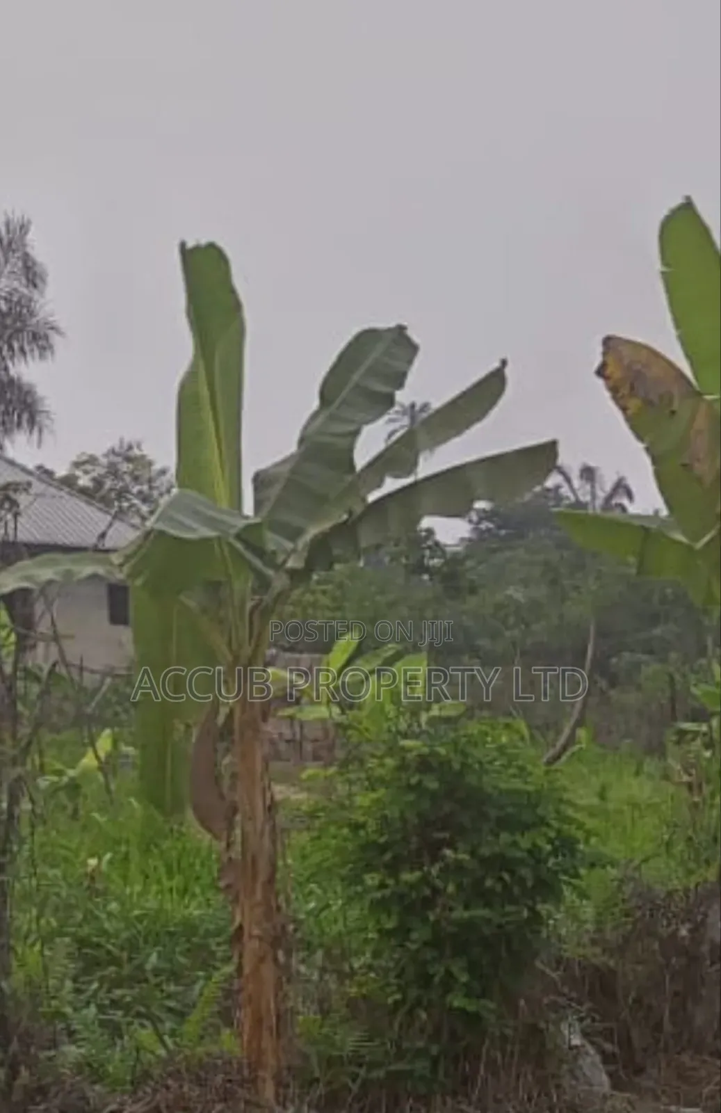 1 Plot Of Land For Sale At Ahoada in Ahoada