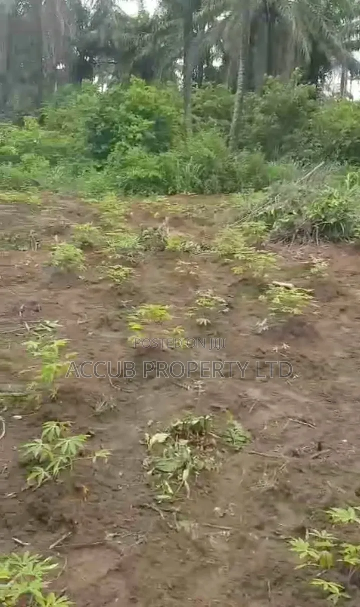1 Plot Of Land For Sale At Ahoada in Ahoada