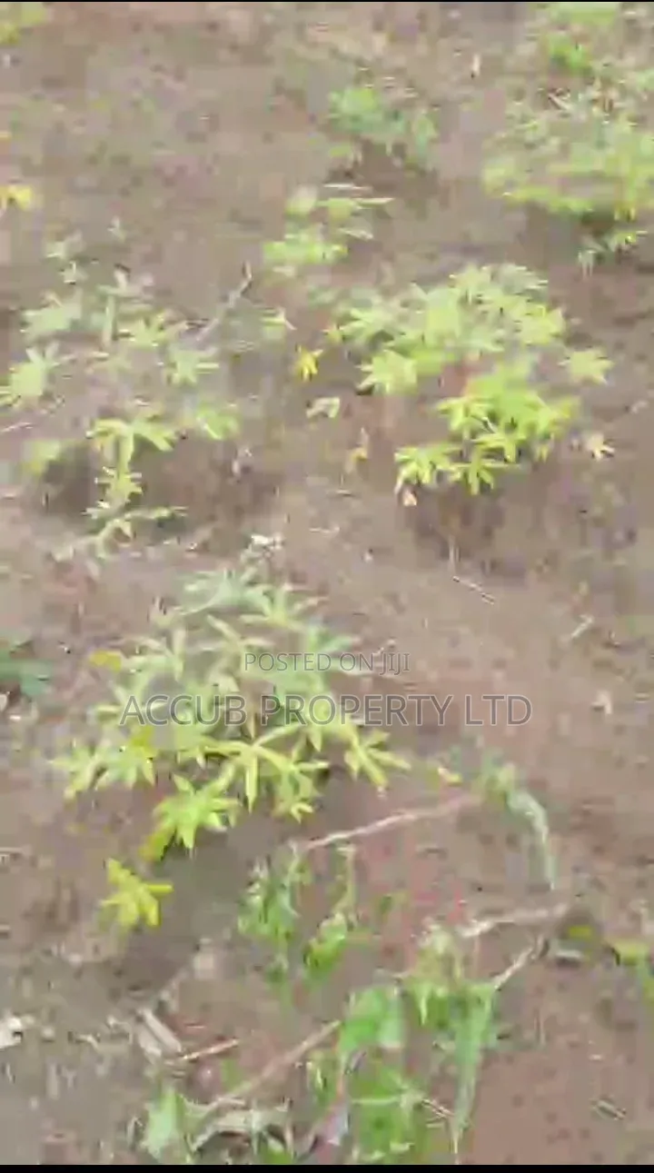 1 Plot Of Land For Sale At Ahoada in Ahoada