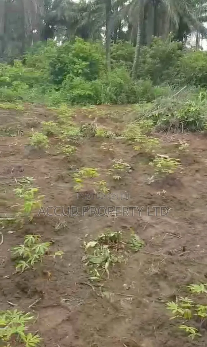 1 Plot Of Land For Sale At Ahoada in Ahoada