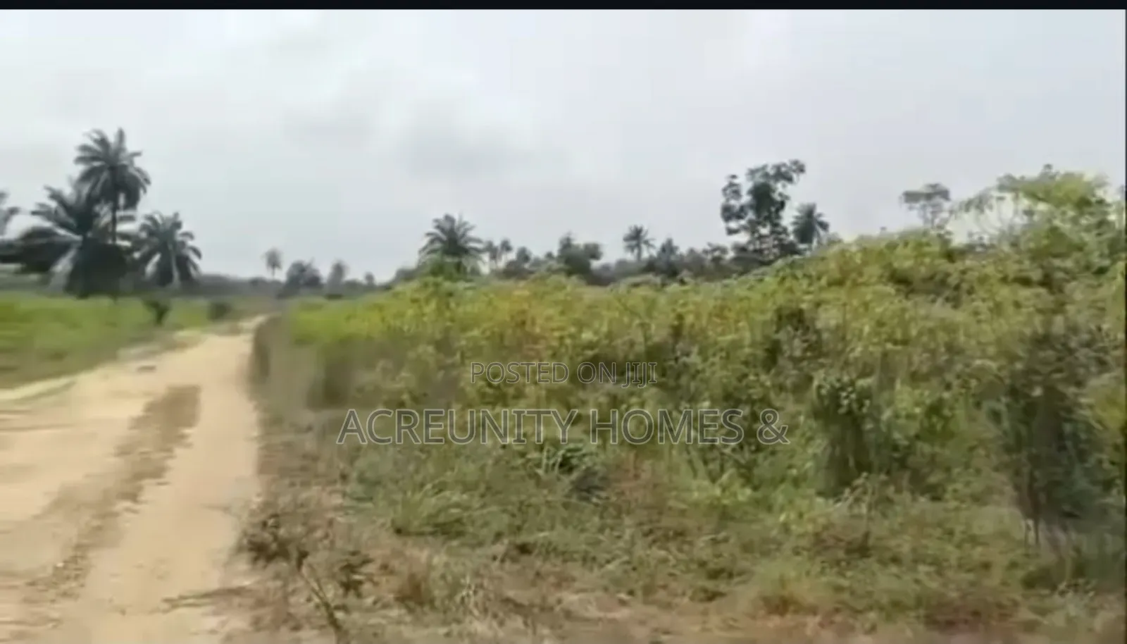1400 Acres of Farmland for Sale at Odo Ose Village, Ijio, Iwajowa Lg in Iwajowa