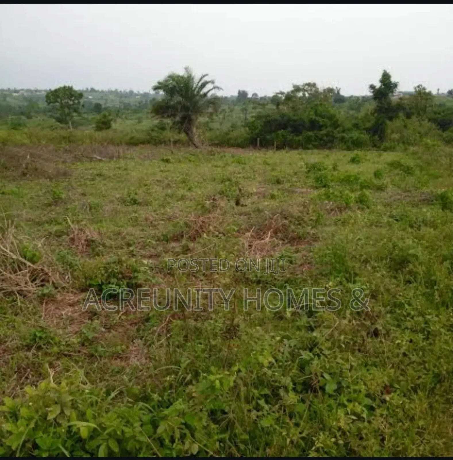 1400 Acres of Farmland for Sale at Odo Ose Village, Ijio, Iwajowa Lg in Iwajowa