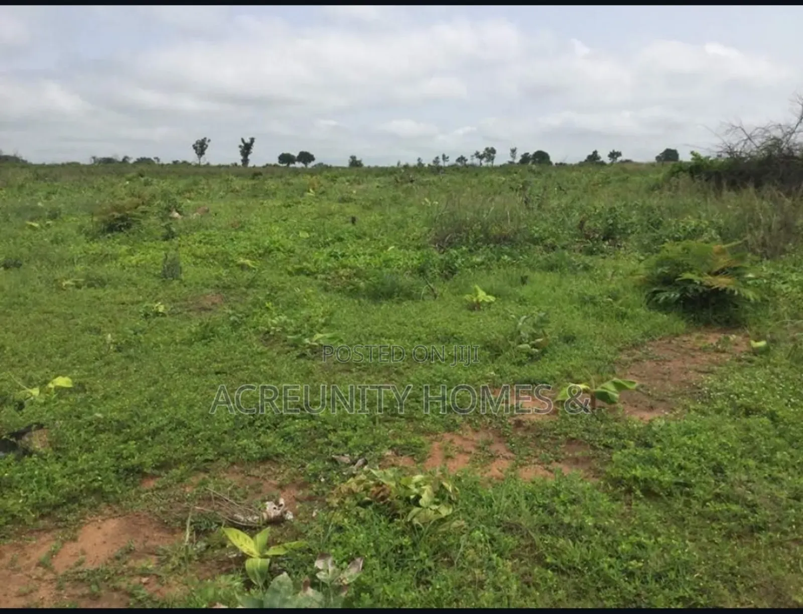 1400 Acres of Farmland for Sale at Odo Ose Village, Ijio, Iwajowa Lg in Iwajowa