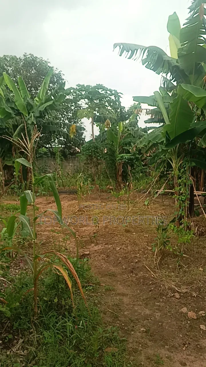 25 Feet by 80 Feet in a Secured Estate at Elliot Ishaga Ifako Ijaiye in Iju-Ishaga