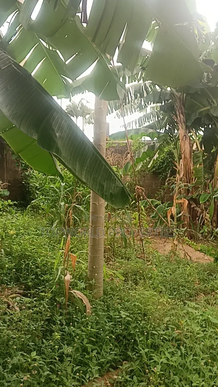25 Feet by 80 Feet in a Secured Estate at Elliot Ishaga Ifako Ijaiye in Iju-Ishaga