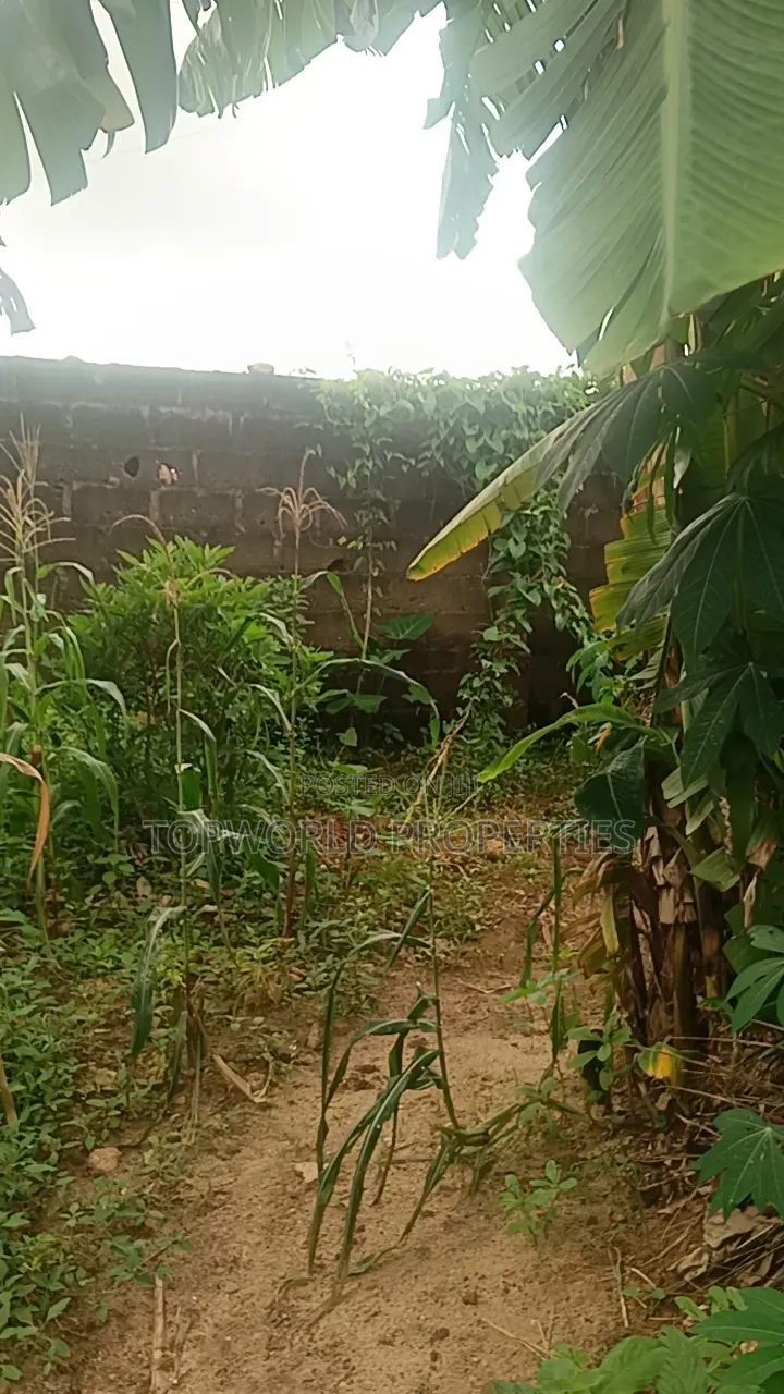 25 Feet by 80 Feet in a Secured Estate at Elliot Ishaga Ifako Ijaiye in Iju-Ishaga
