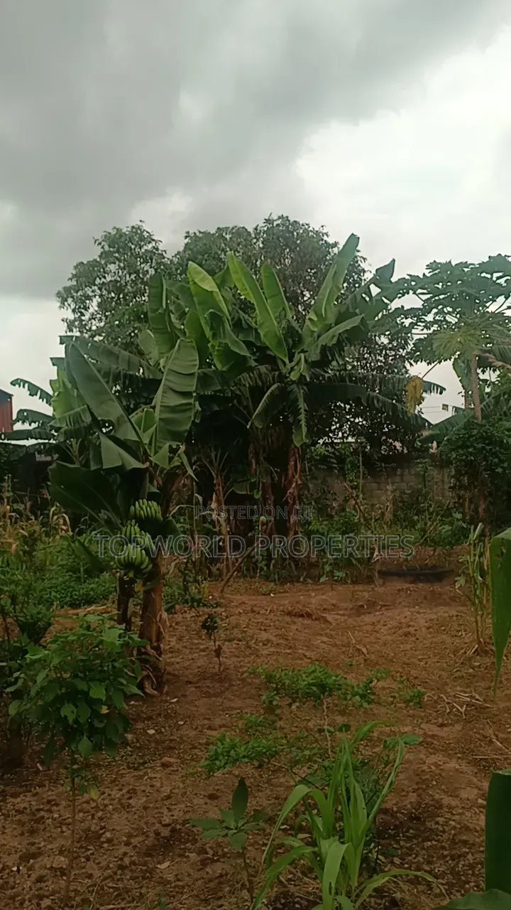 25 Feet by 80 Feet in a Secured Estate at Elliot Ishaga Ifako Ijaiye in Iju-Ishaga