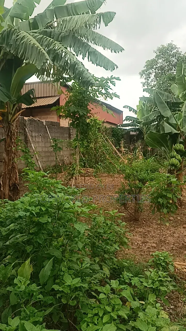 25 Feet by 80 Feet in a Secured Estate at Elliot Ishaga Ifako Ijaiye in Iju-Ishaga