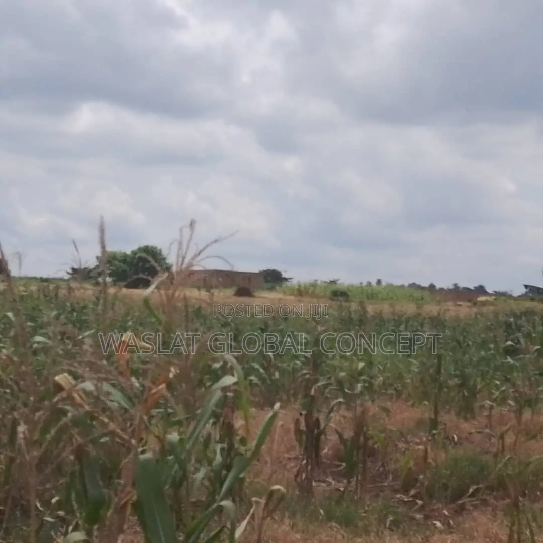 Plots of Land at Omoluabi Estate, Along Ikirun Road, Osogbo in Osogbo