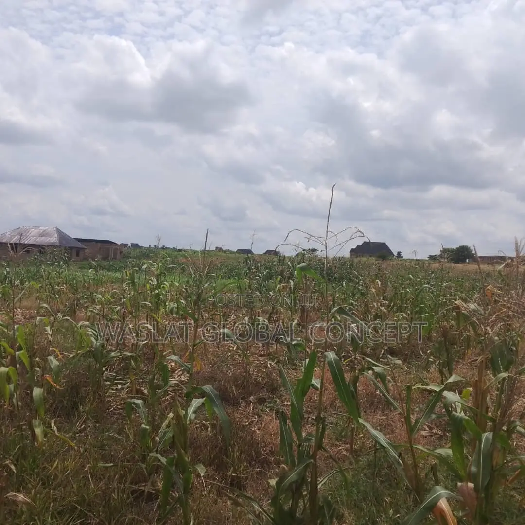 Plots of Land at Omoluabi Estate, Along Ikirun Road, Osogbo in Osogbo