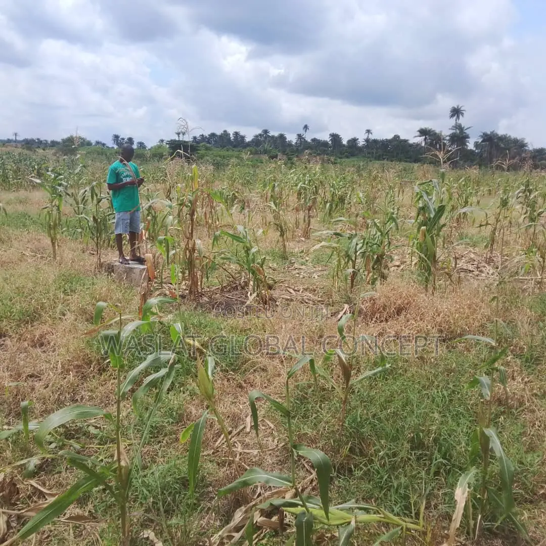 Plots of Land at Omoluabi Estate, Along Ikirun Road, Osogbo in Osogbo