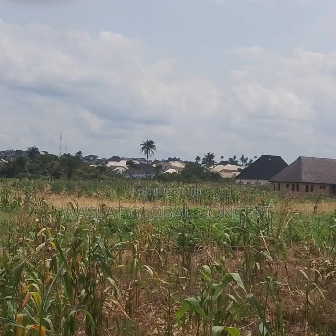 Plots of Land at Omoluabi Estate, Along Ikirun Road, Osogbo in Osogbo
