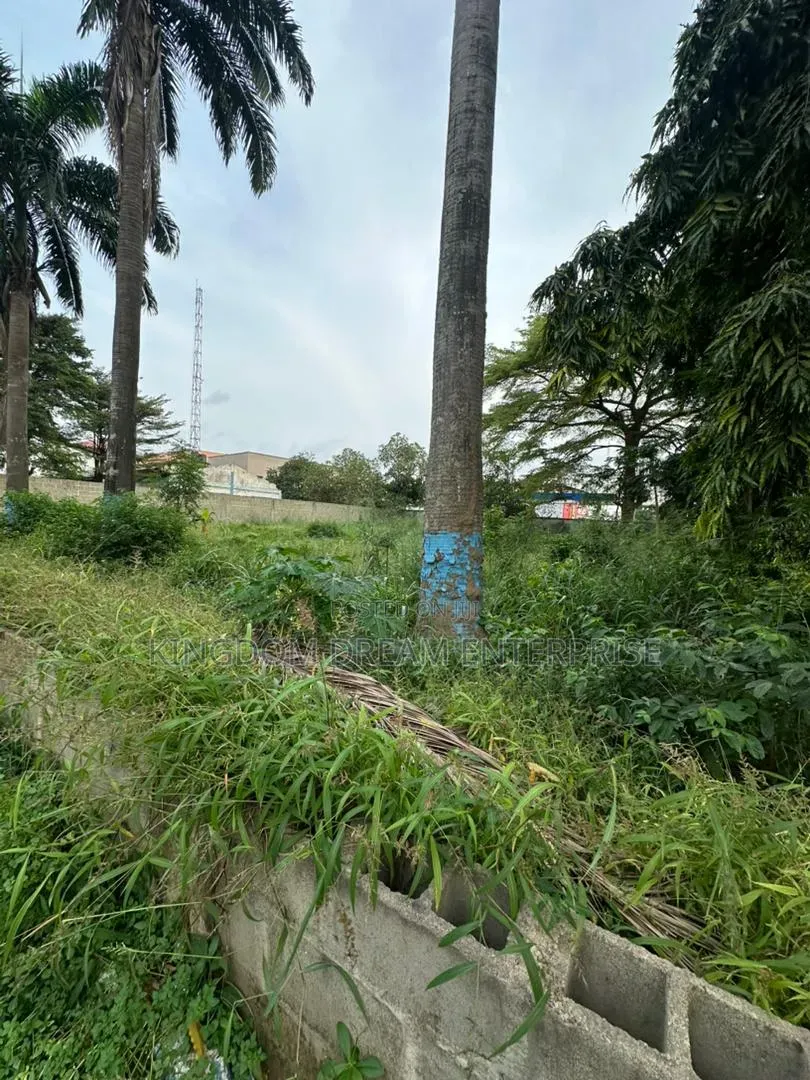 Commercial Land 2009 Square Metre Lateef Jakande Road Agidingbi in Agidingbi