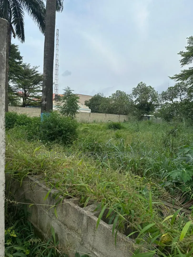 Commercial Land 2009 Square Metre Lateef Jakande Road Agidingbi in Agidingbi