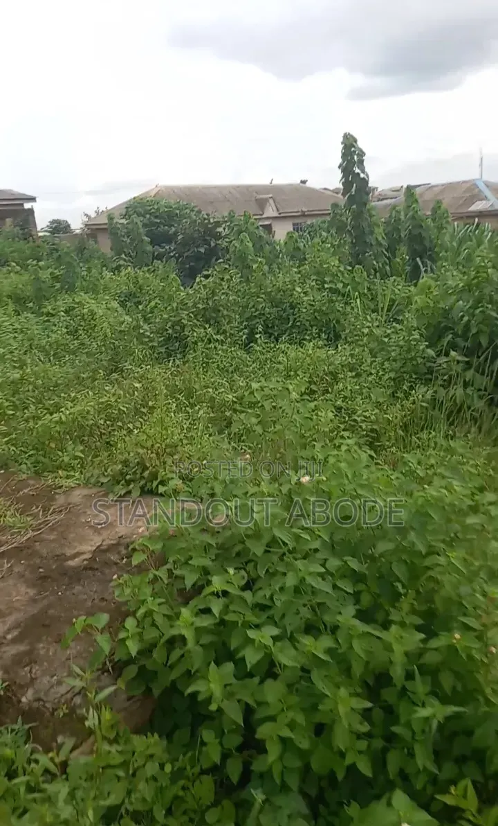 Half Plot 2 House to Lasunwon Road Lasustech First Gate Ikorodu in Ikorodu Garage