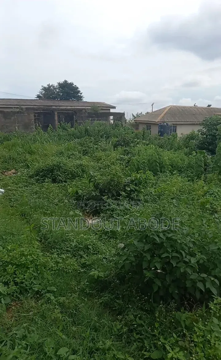 Half Plot 2 House to Lasunwon Road Lasustech First Gate Ikorodu in Ikorodu Garage