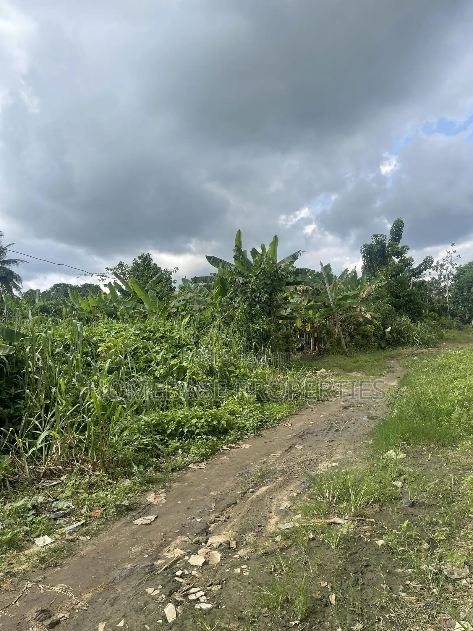 New Town Estate Omagwa in Omagwa