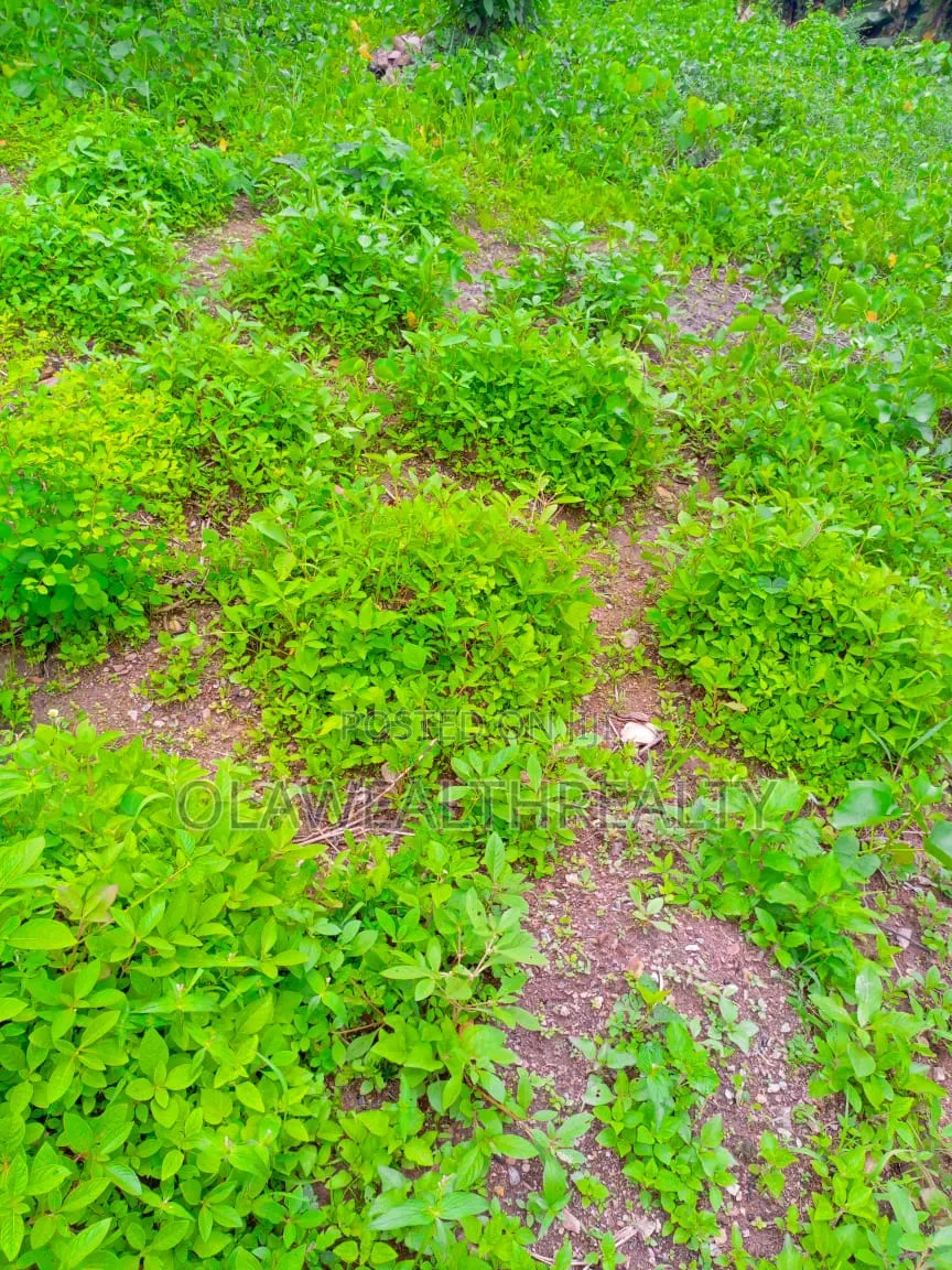 4,547sqm Hotel Plot at Apo-Wumba in Apo Resettlement