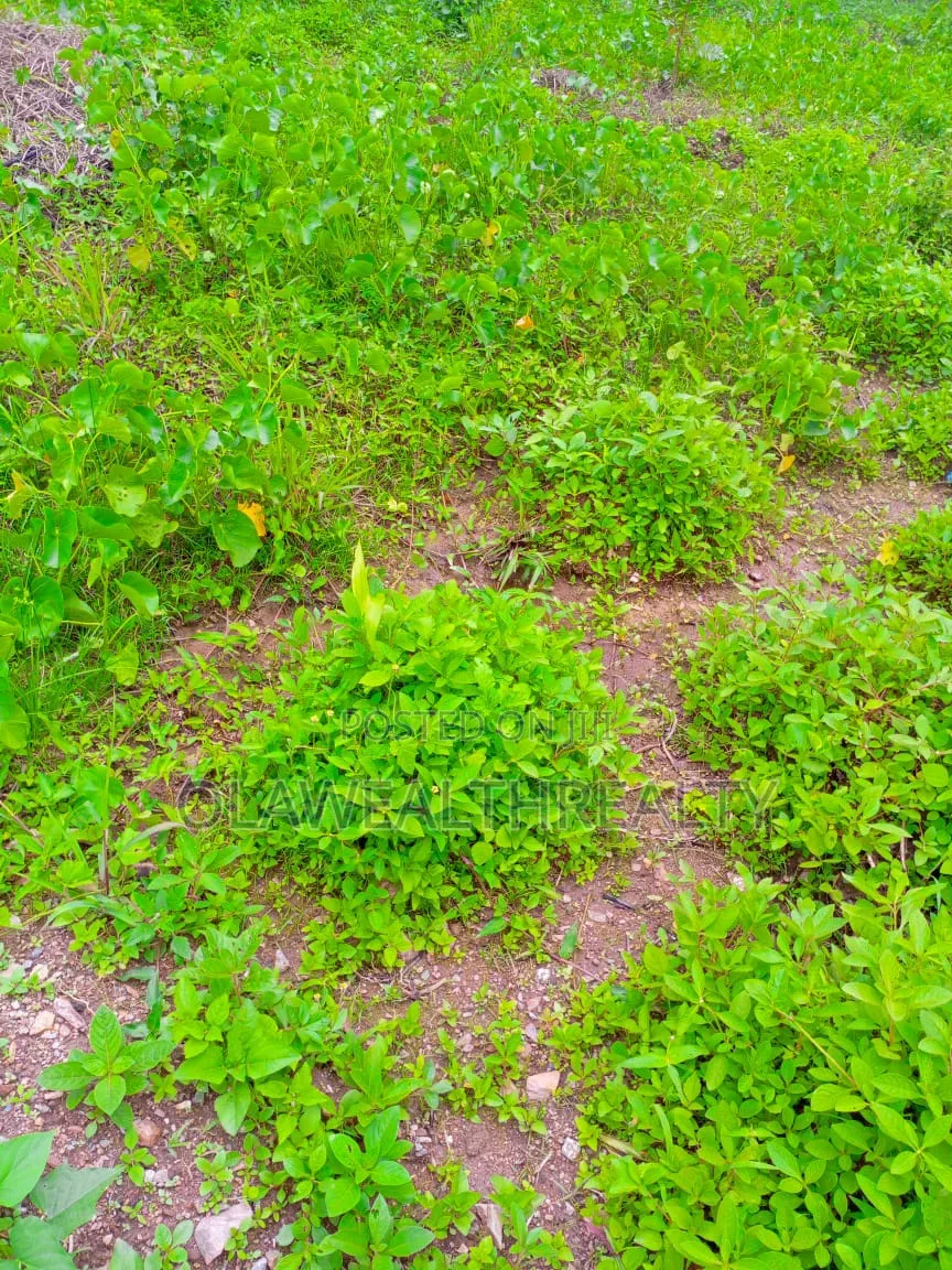 1,574sqm Residential Land at Wuse 2 in Apo Resettlement